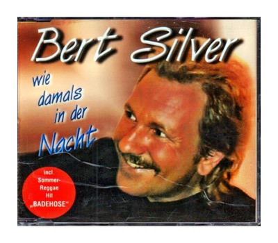 Bert Silver - Wie damals in der Nacht