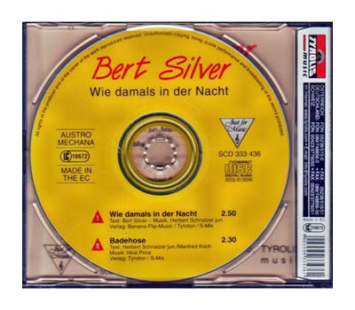 Bert Silver - Wie damals in der Nacht