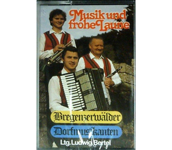 Bregenzerwlder Dorfmusikanten - Musik und frohe Laune