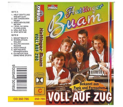 Die Hattinger Buam - Voll auf Zug