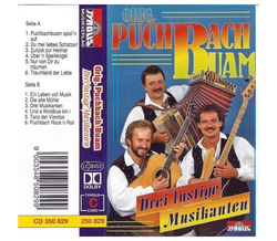 Orig. Puchbach Buam - Drei lustige Musikanten