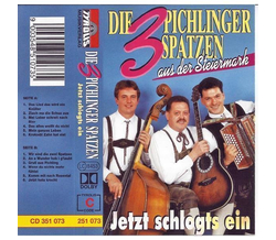 Die 3 Pichlinger Spatzen - Jetzt schlogts ein