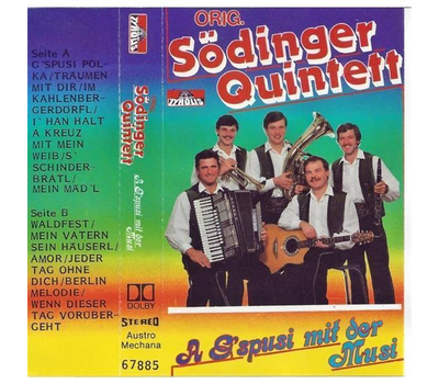 Orig. Sdinger Quintett - A Gspusi mit der Musi