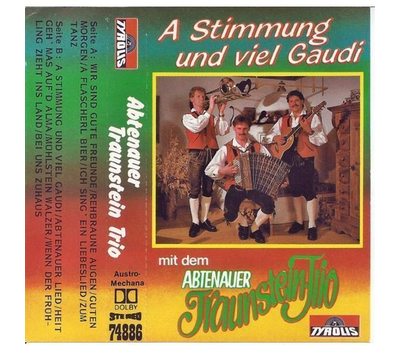 Abtenauer Traunstein-Trio - A Stimmung und viel Gaudi