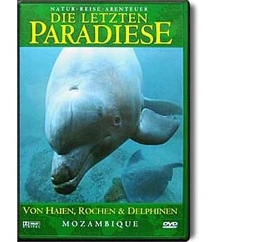 Die letzten Paradiese 26 - Mozambique: Von Haien, Rochen & Delphinen