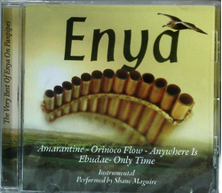 Shane Maguire - The very Best of ENYA on Panpipes...